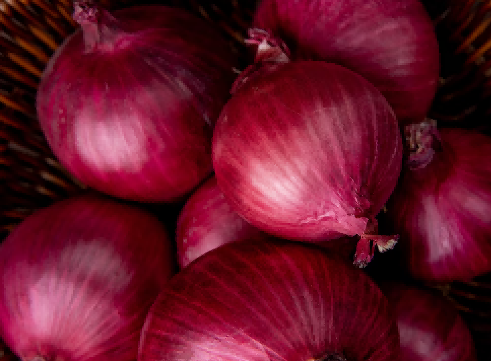 onion export,onion exports,onion exporters
