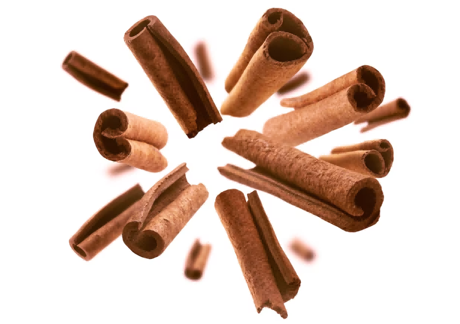 export cinnamon,export cinnamon from sri lanka,export cinnamon industry