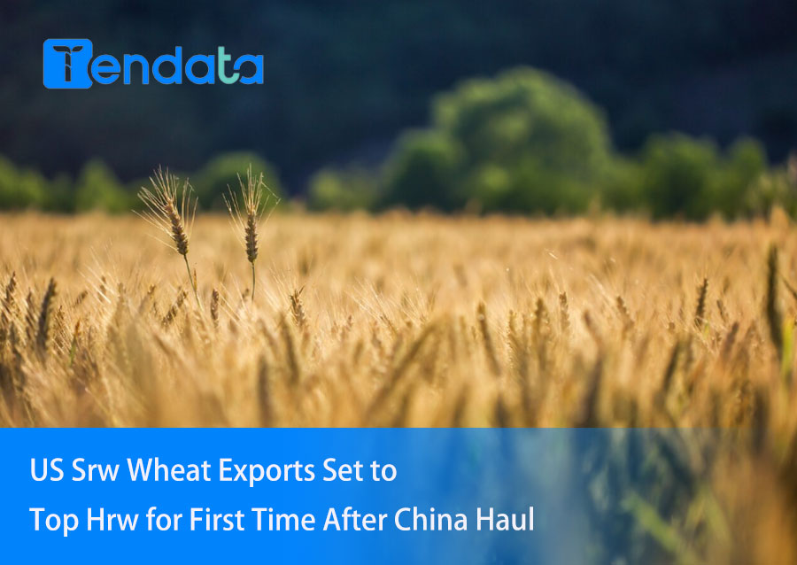 us wheat export,us wheat exports,us wheat export top