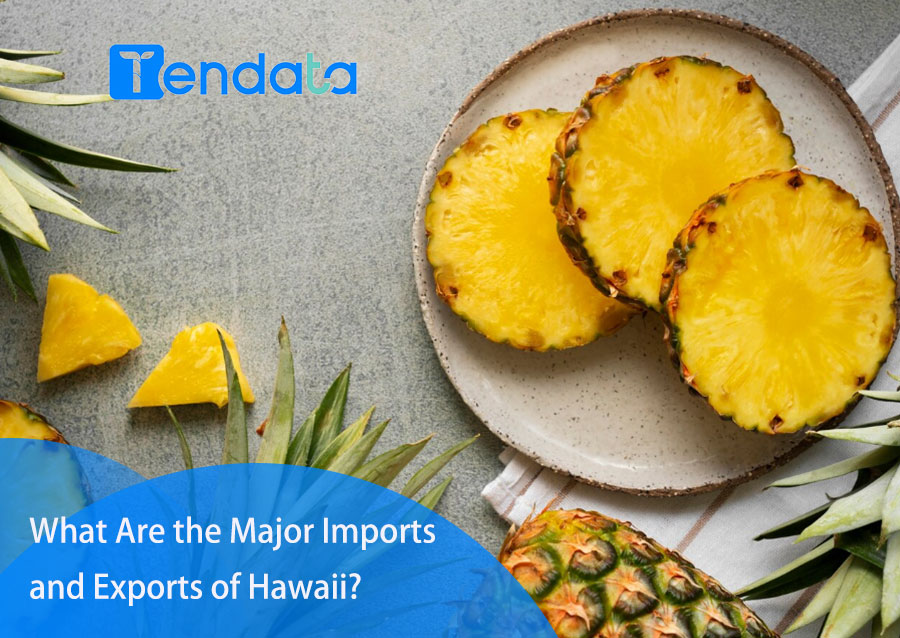 imports of hawaii,exports of hawaii,imports and exports of hawaii