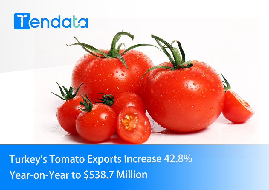 turkey's tomato exports,tomato exports,turkey tomato exports