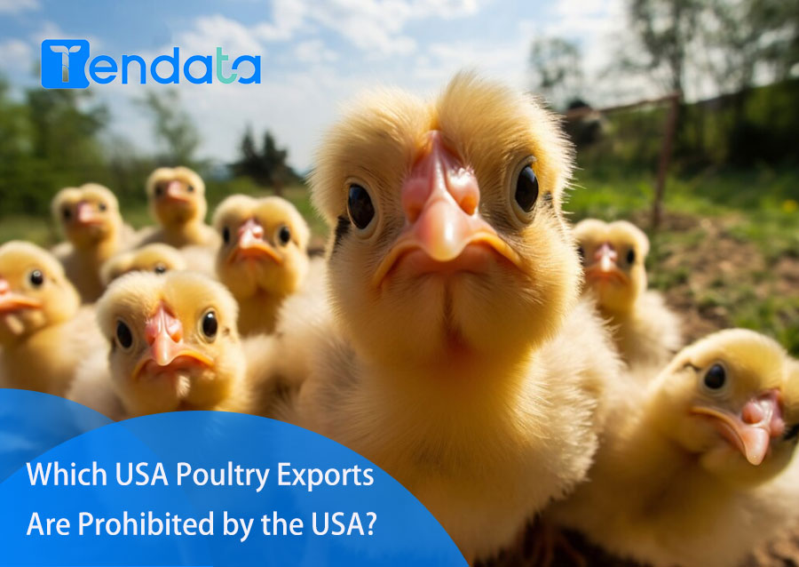 usa poultry export,us poultry export,usa poultry exports