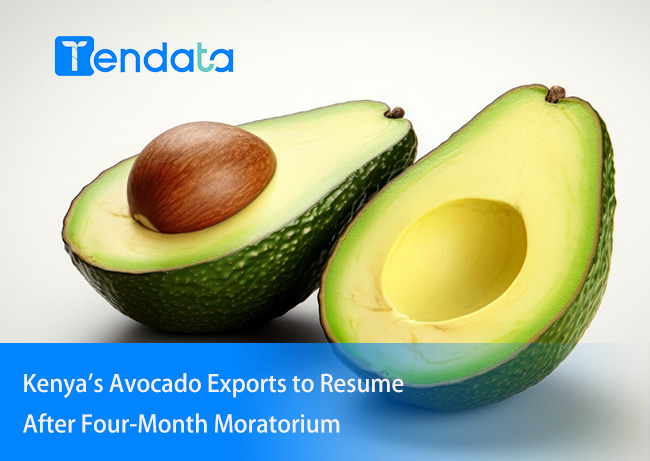 kenya's avocado exports,avocado exports,avocado export