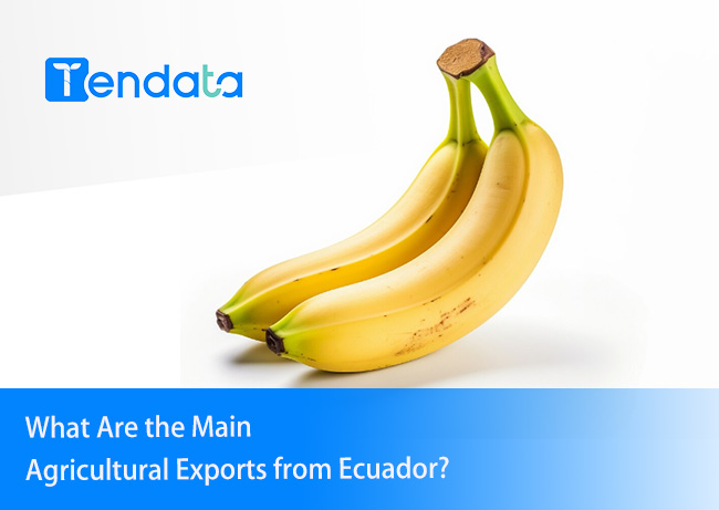 exports from ecuador,ecuador export,ecuador exports