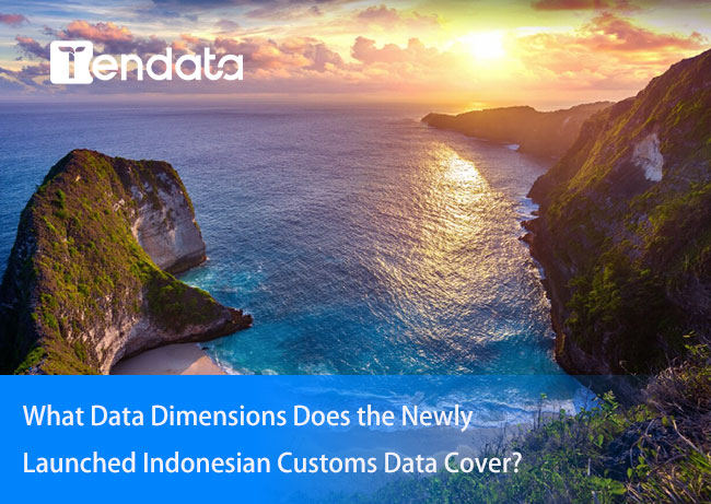 indonesian customs data,customs data,indonesia customs data