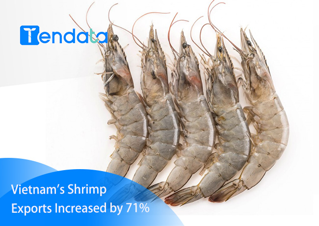 vietnam's shrimp exports,shrimp export,shrimp exports