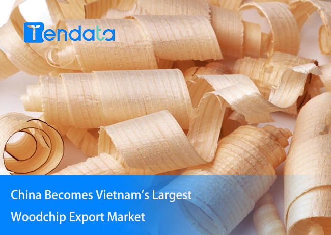 vietnam export woodchip,vietnam export,export woodchip