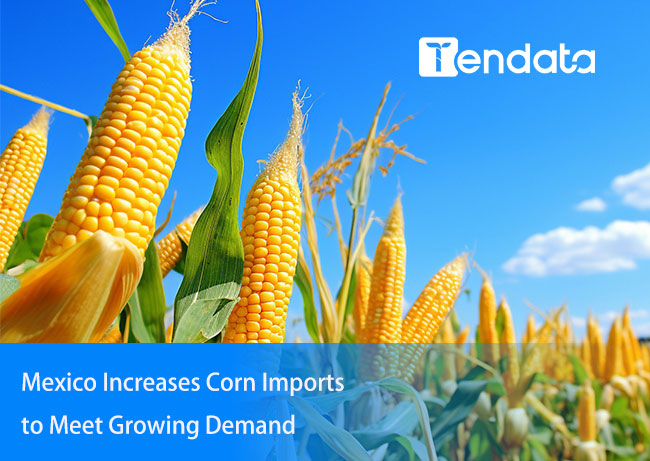 corn imports,mexico increases corn imports,mexico corn imports