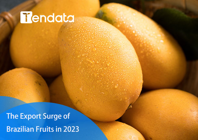 brazilian fruit exports,brazil export,brazil fruit export