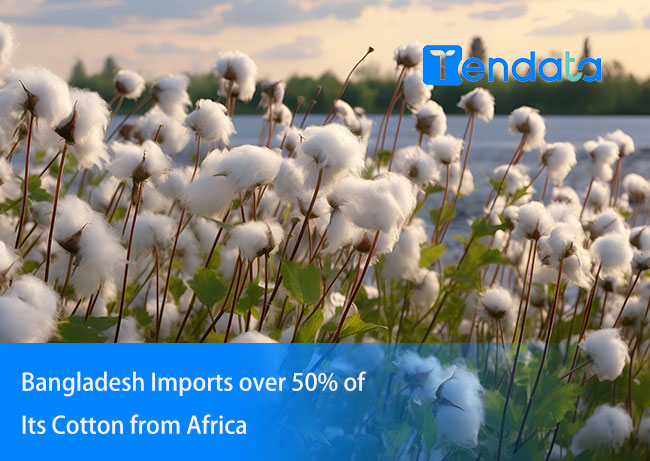 bangladesh import cotton,import cotton from africa,import cotton