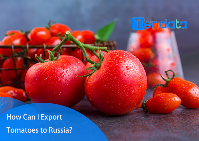 tomato export,tomatoes export,export tomato,export tomatoes
