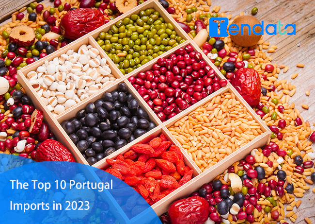 portugal import,portugal imports,portugal top imports