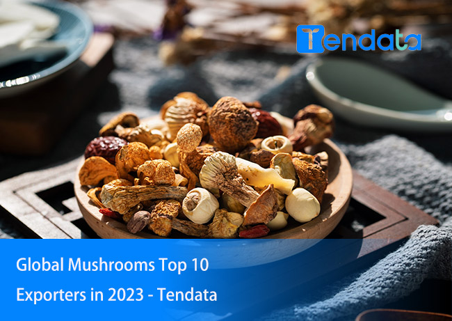 mushrooms exporter,mushrooms exporters,global mushrooms exporters