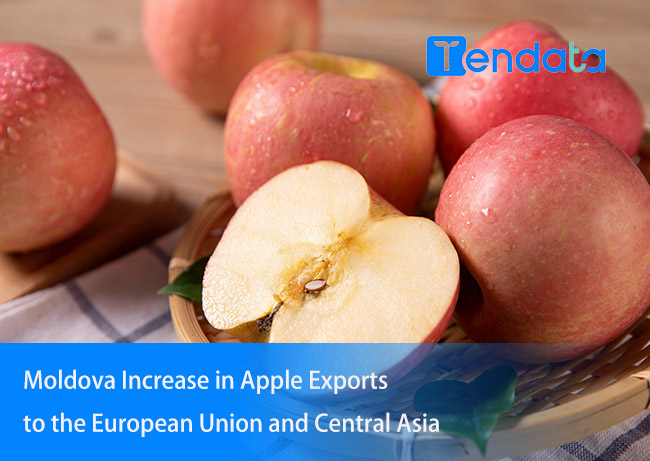 moldova apple export,moldova apple exports,apple export
