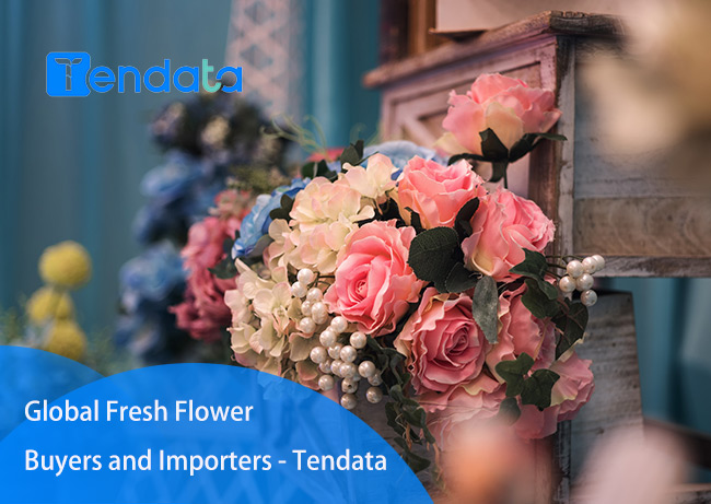 fresh flower buyers and importers,flower buyers,flower buyers and importers