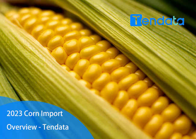 corn importer,corn importers,top corn importers