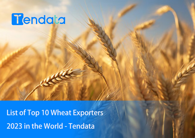 wheat exporters,wheat exporter,wheat export