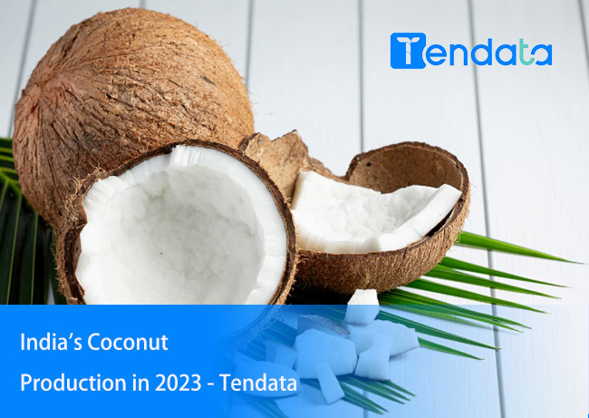 india's coconut export,coconut export,india's coconut