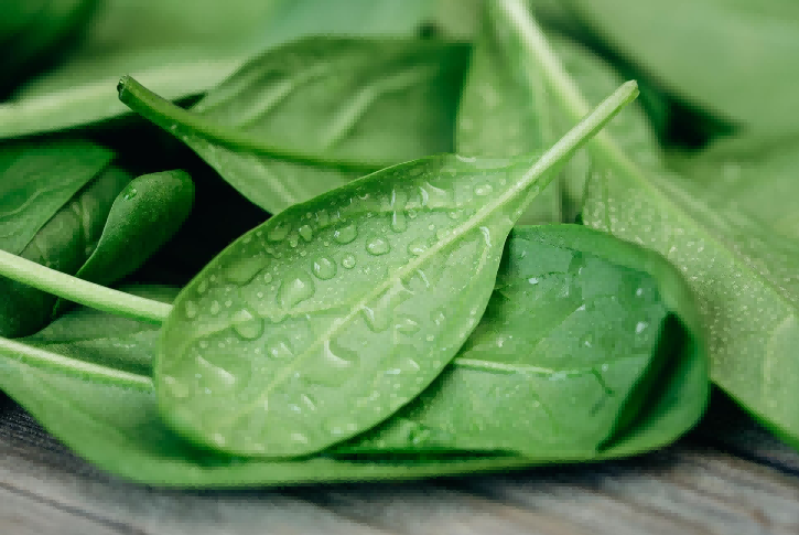 spinach exports,global spinach exports,spinach exporters