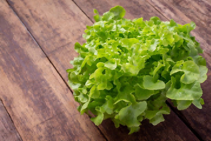 lettuce exports,global lettuce exports,worldwide lettuce exports