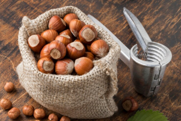 hazelnut exports,global hazelnut exports,hazelnut export