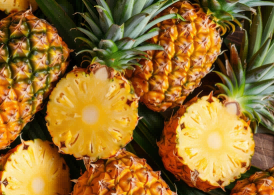 pineapple exports,pineapple export,pineapple exporters