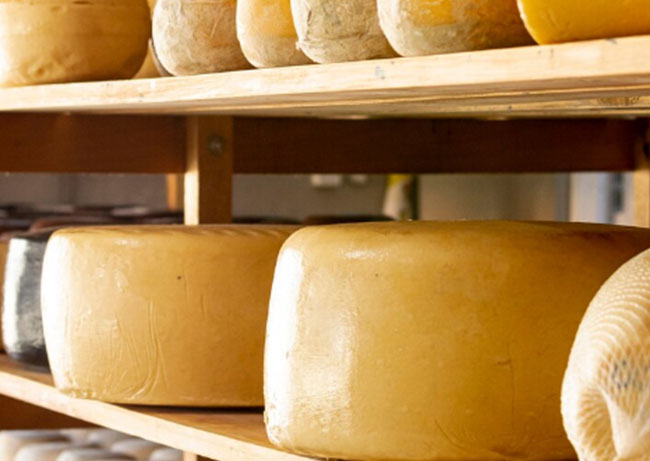 cheese exports,cheese export,cheese exporters