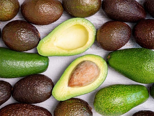 u.s. avocados,u.s. avocado,trade avocados