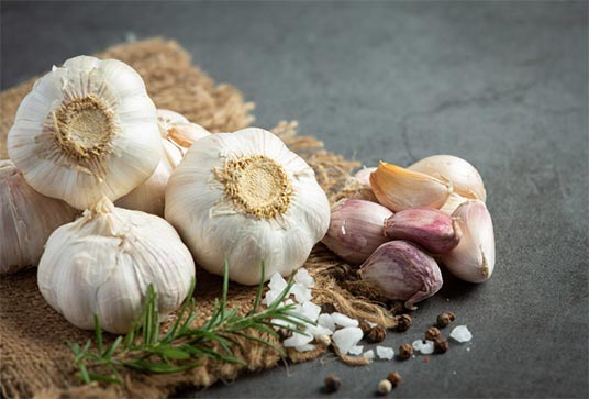 garlic exports,global garlic exports,garlic export