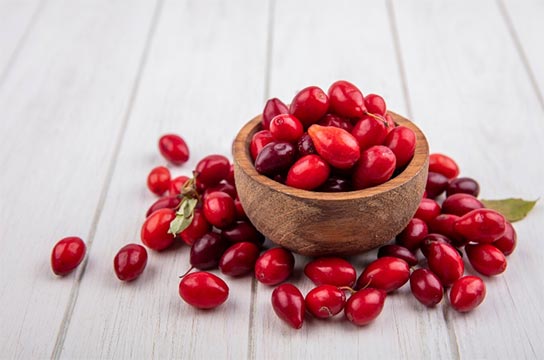 cranberry export,cranberry import,cranberry exporters,cranberry importers