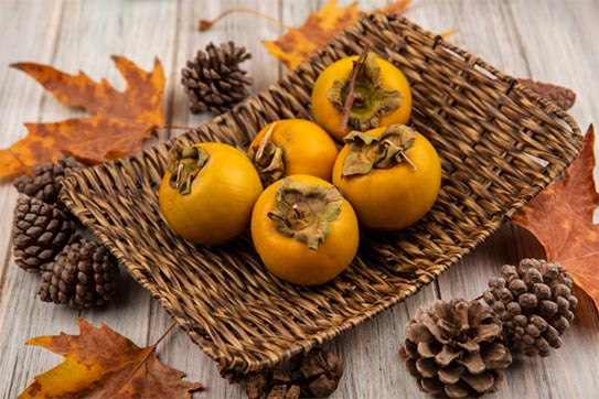 persimmons export,persimmons exports,persimmon export,persimmon export