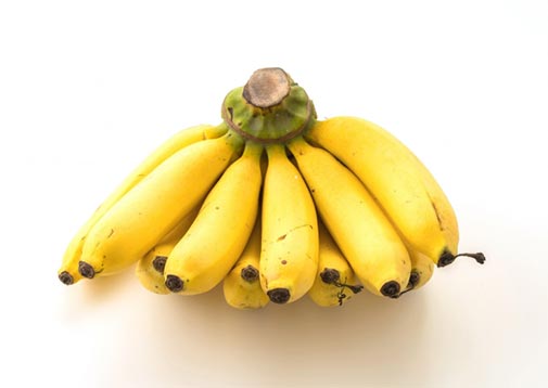 bananas suppliers,bananas supplier,global bananas suppliers