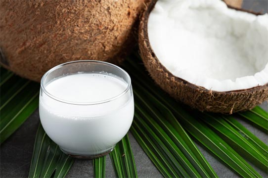 coconut milk exporters,coconut milk exporter,global coconut milk exporters