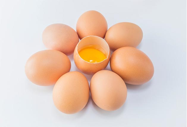 eggs exporters,eggs exporter,global eggs exporters