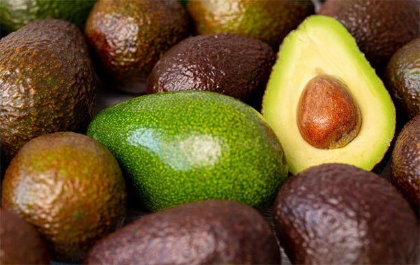 avocado exports,global avocado exports,avocado export