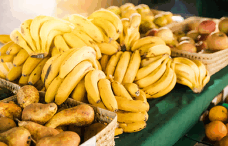 What Are the Different Varieties of Banana Exports That Are Commonly ...