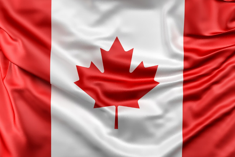 Канадский флаг фото Canada Import Export Market - Tendata Database