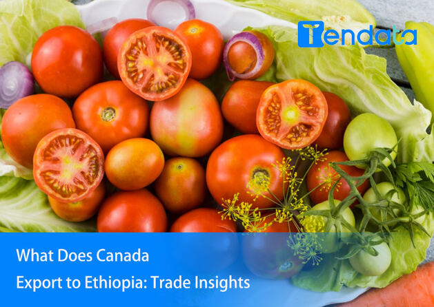 what-does-canada-export-to-ethiopia-trade-insights