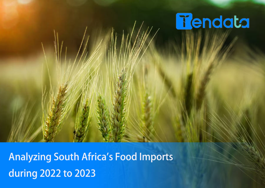 Analyzing South Africa's Food Imports during 2022 to 2023