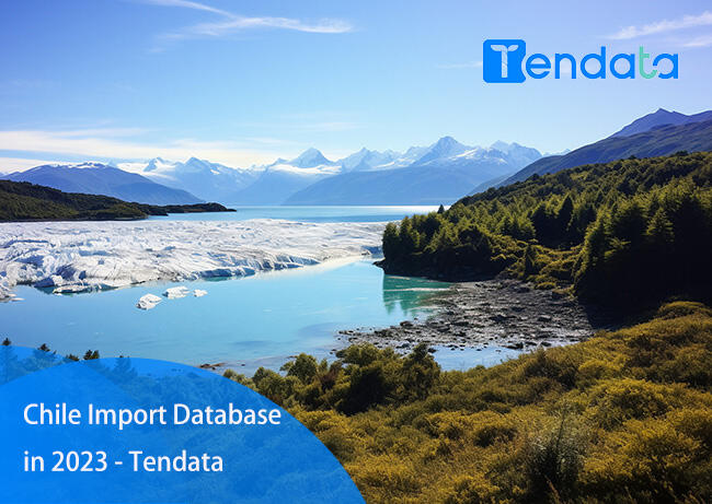 Chile Import Database in 2023 - Tendata