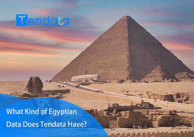 What Kind of Egyptian Data Does Tendata Have?